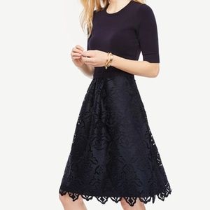 Lace Skirt Dress in Navy Blue
